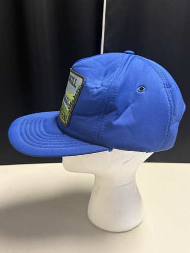 Vintage Catskill Mountains New York Bald Eagle Trucker Hat Blue Padded Snapback - Picture 2 of 9