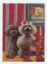 Brown and White Poodles with Bouquet of Roses Lenticular 3-D Toppan Postcard