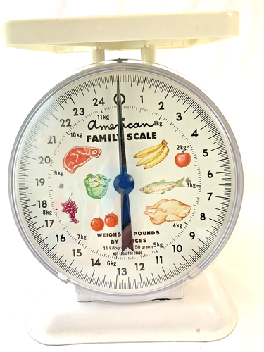 Báscula American Family Home hasta 25 libras preparación de alimentos almacenamiento mantenimiento de la salud - Imagen 2 de 7