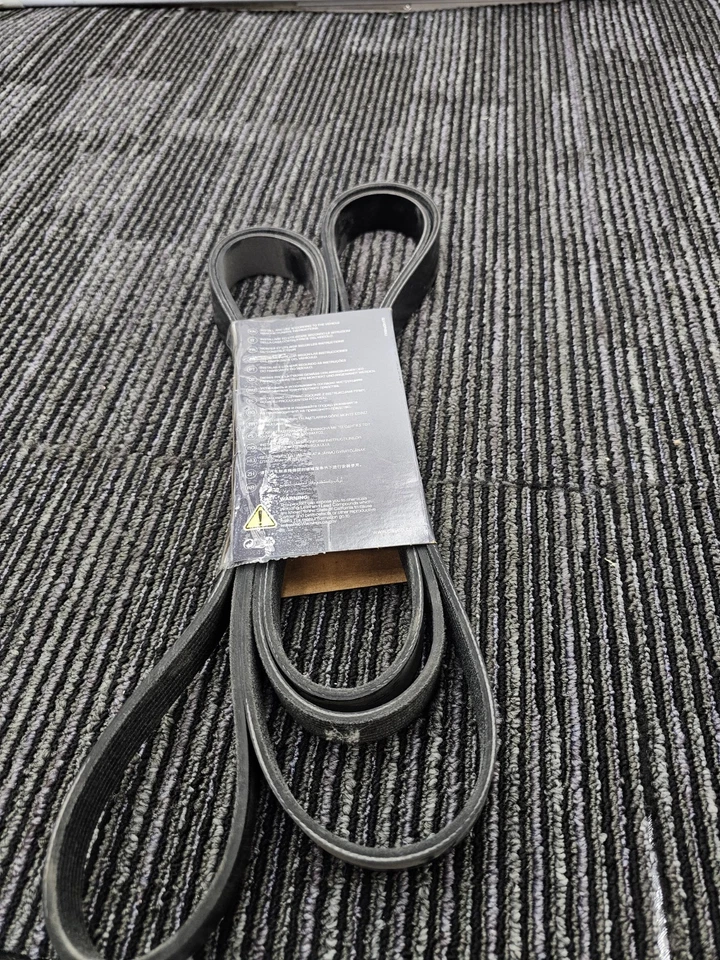 Transmisión principal con correa serpentina Dayco 5081254 para modelos Ford Excursion 03-05 Foto 4 de 4