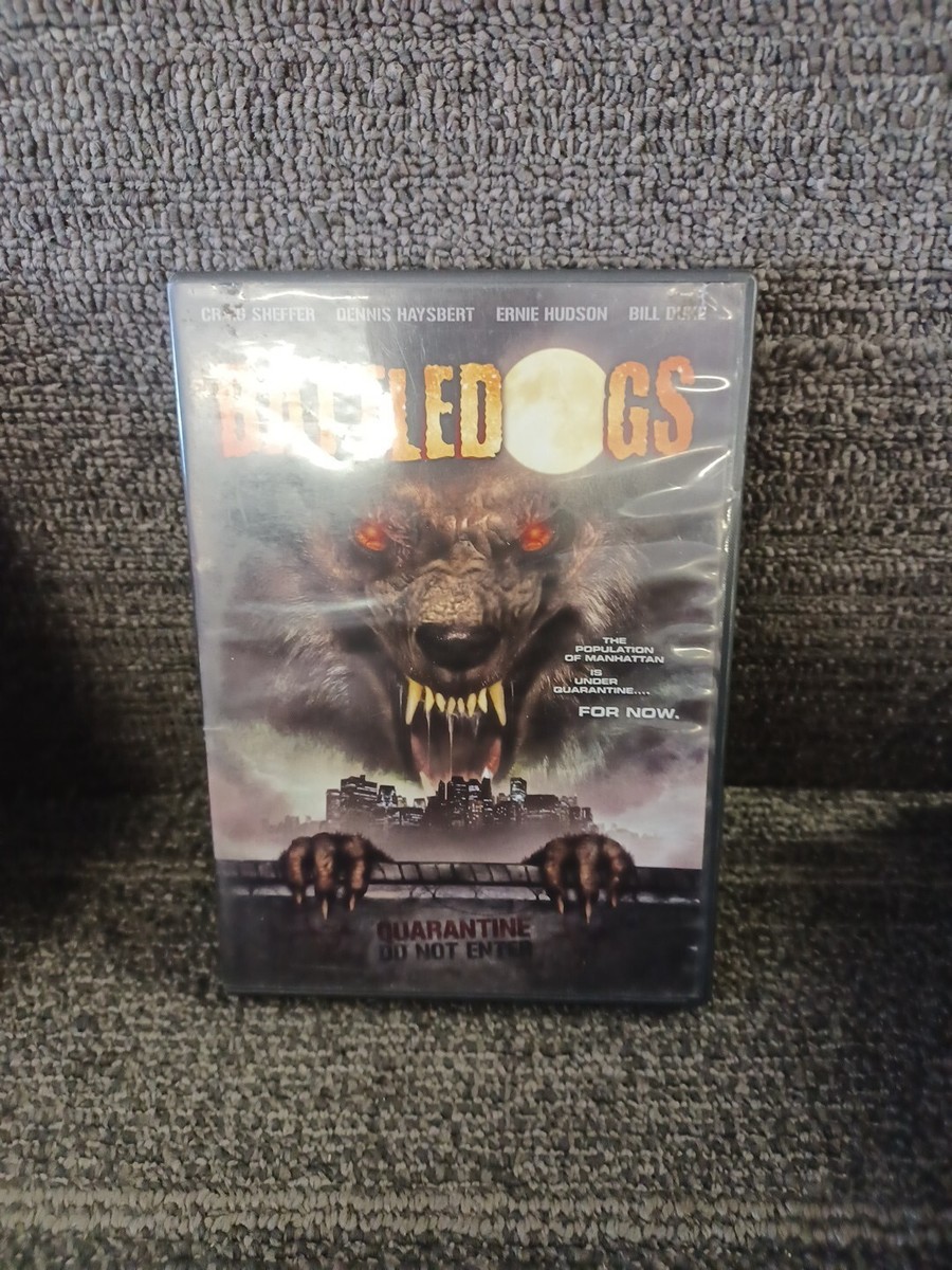 DOG FIGHT DVD ONE NITE LIVE STILL CRAZ Ⅱ Dog Fight One Nite Live Still Crazy II DVD Rare Used Small