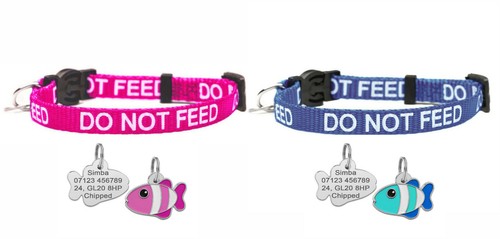 Do Not Feed Safety Cat Collar with Bell & Personalised Engraved Fish Tag ID - Picture 1 of 11