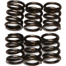 EBC Clutch Springs Csk72 Suzuki Gsx-R1300 Hayabusa 1999-2007 CSK72 fitment in