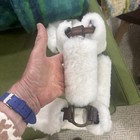 Leather And Brass Shipping Halter Real Sheepskin Fuzzies/ Bevals Sheepskin — photo 5