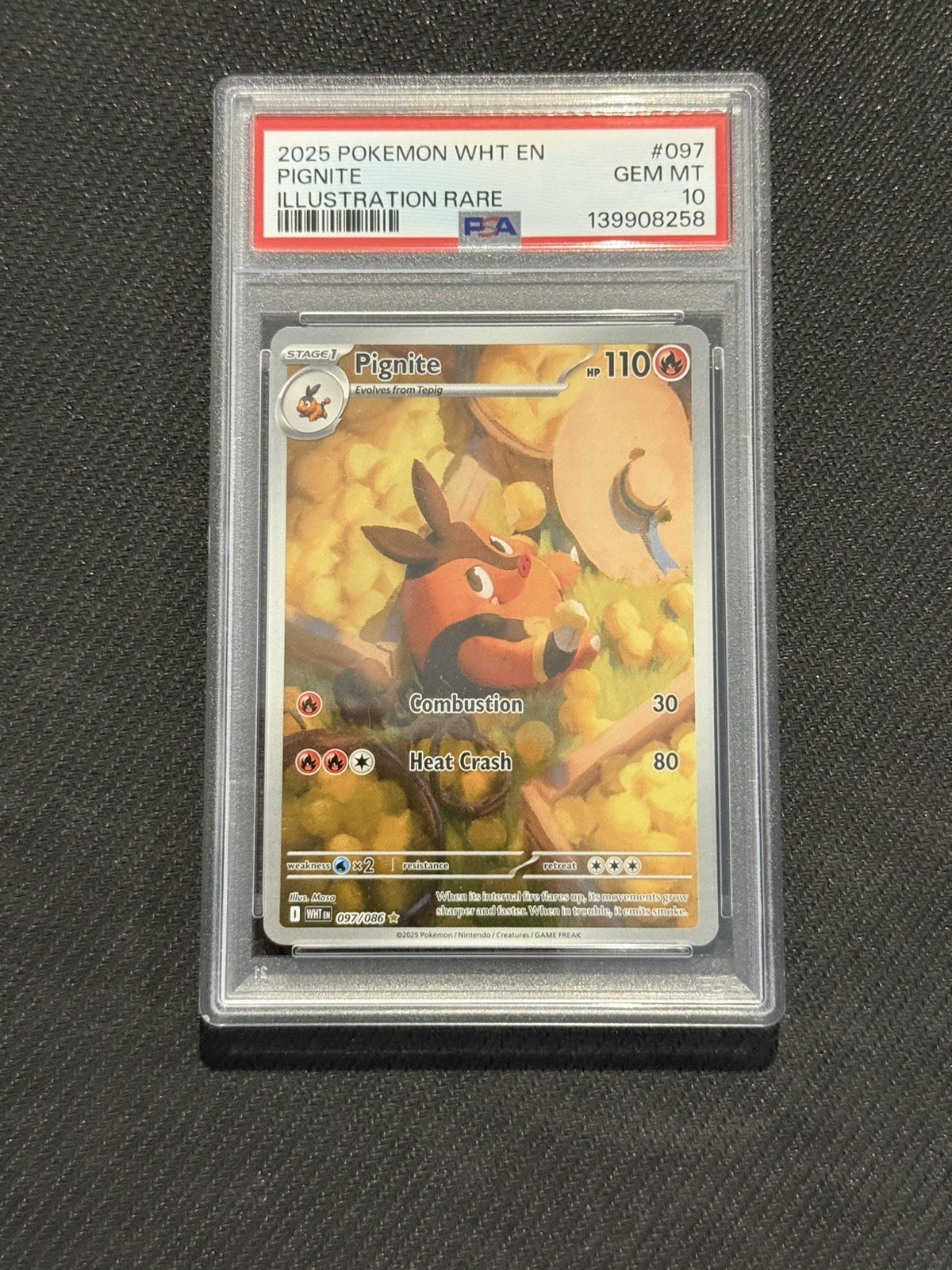 2025 Pokemon White Flare Pignite IR 097/086 PSA 10 Gem Mint Pop 89