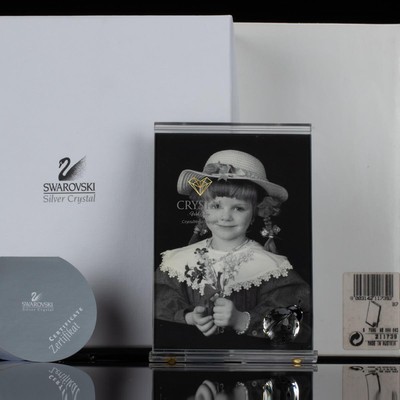 Swarovski Picture Frame - Ladybird / Ladybug 211739