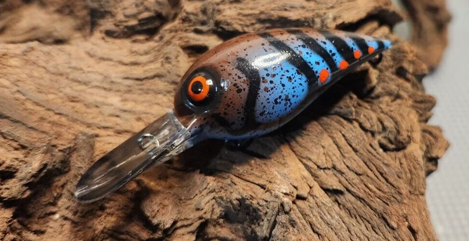 EZ'S LURES custom painted Wiggle wart crankbait( MISSOURI CRAW)