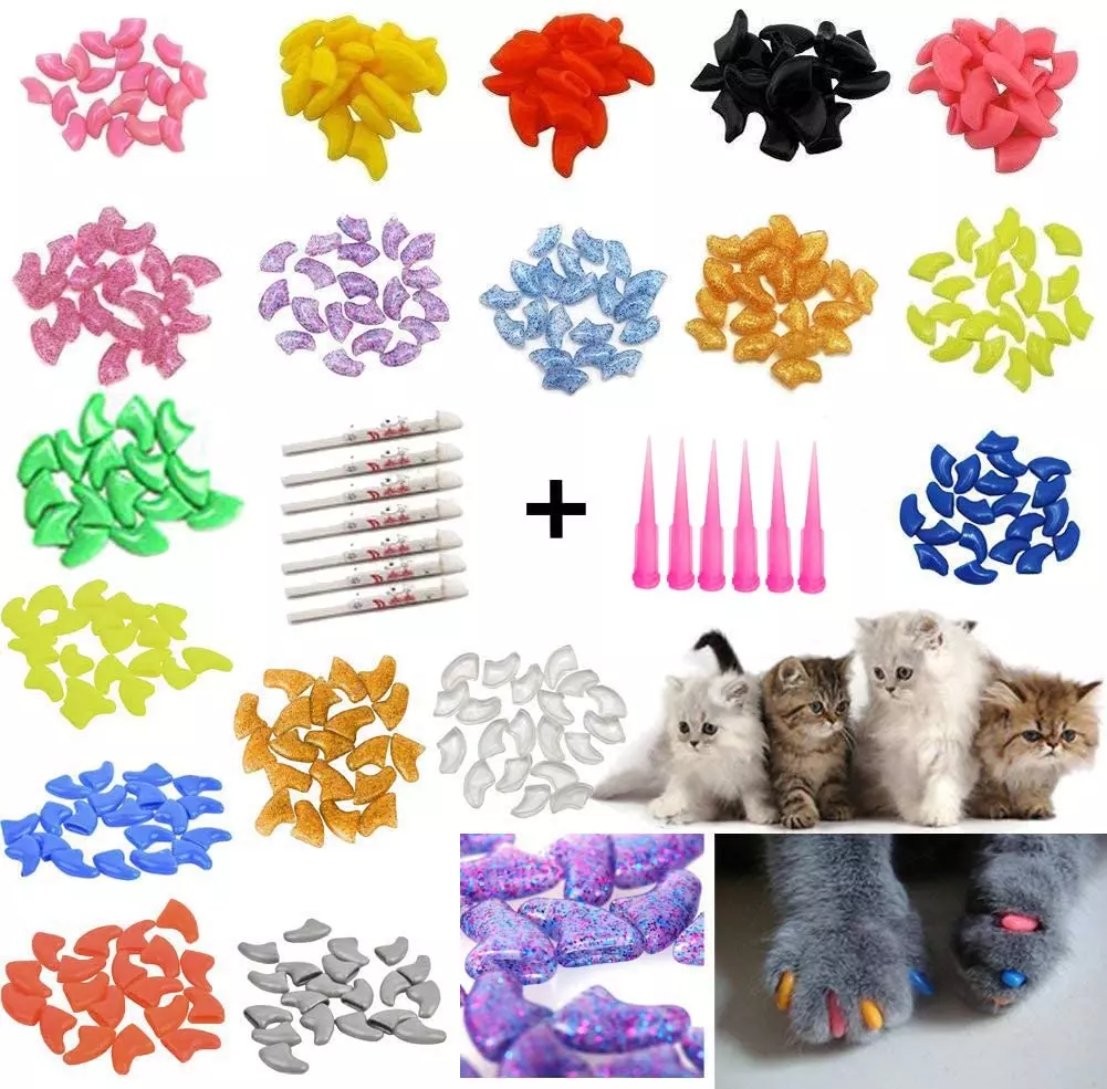 Soft paws for cats outlet