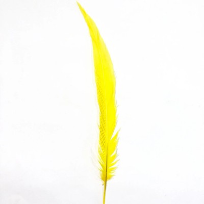 20'' to 30'' Silver Pheasant Tail Feather - Yellow