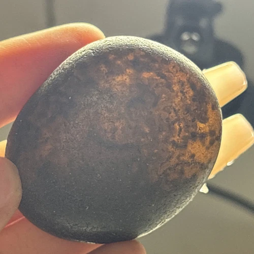 40g Bonsai Suiseki-Natural Gobi Agate Eyes Stone-Rare Stunning Viewing M20