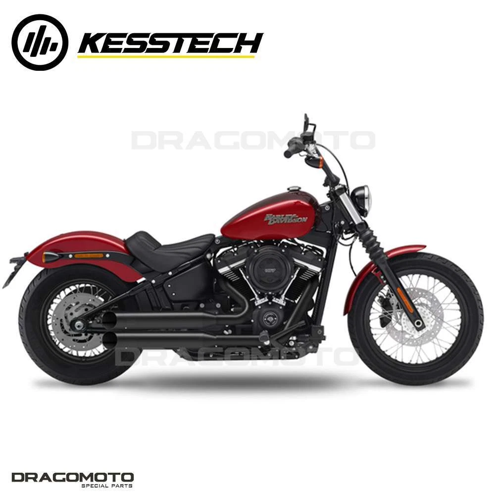 2021 softail on sale standard exhaust