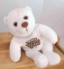Vintage Teddy Grahams Teddy Bear Plush 2000 Y2K The Millennium Bear "TG"