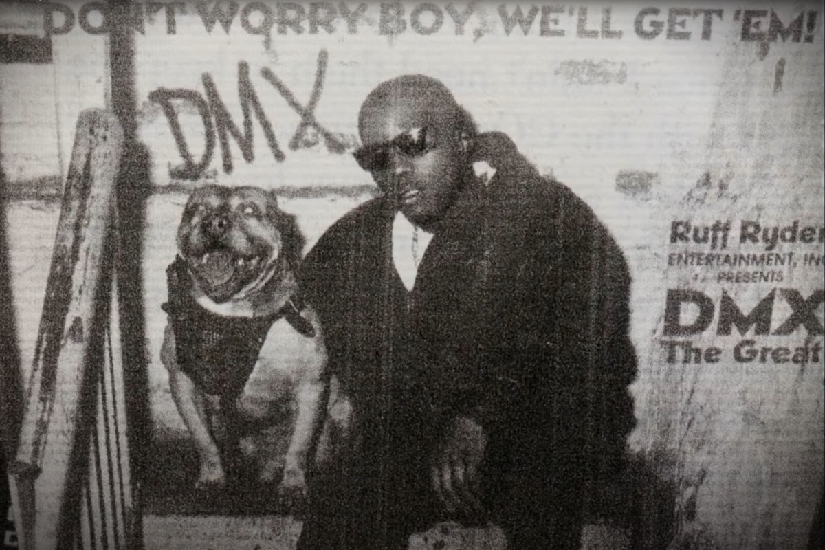 DMX Poster Wall Art Home Decor Photo Prints 16x24, 20x30, 24x36