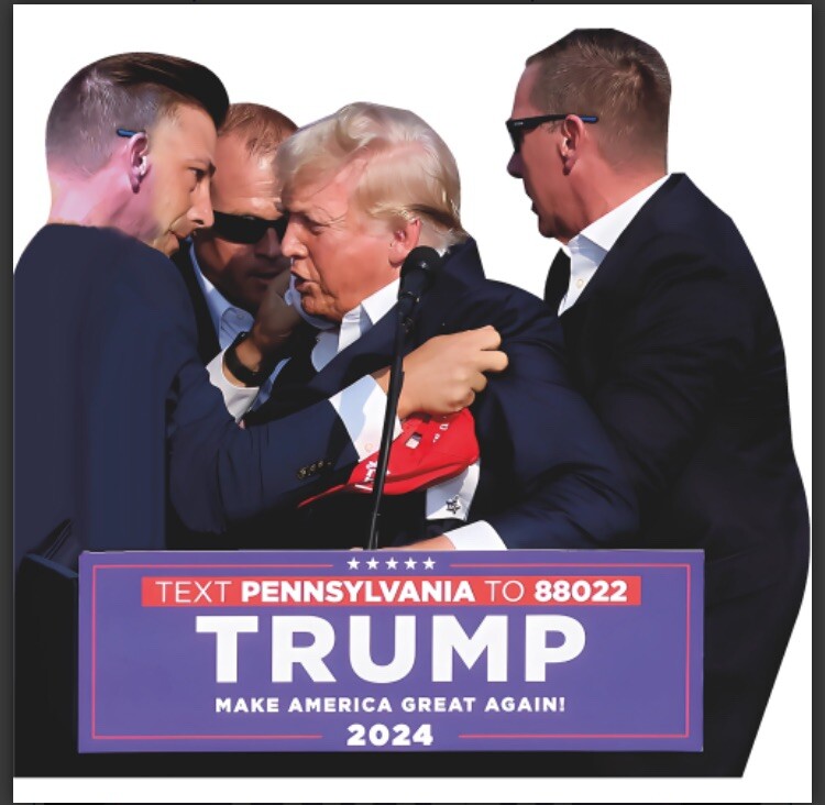 Donald Trump Attempted Assassination Cardboard Cutout Free Shipping!