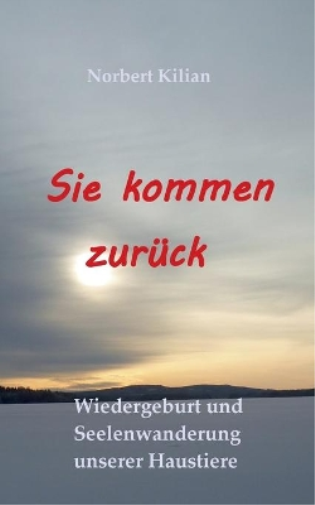 Norbert Kilian Sie kommen zurück (Tascabile)