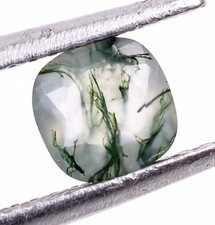 Natural Moss Agate Cushion Shape 5X5mm Loose Gemstone For Ring Making 0.50 Ct.