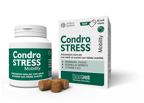 Innovet Condrostress Mobility 60 cpr → Ridotta mobilità di Cani adulti anziani