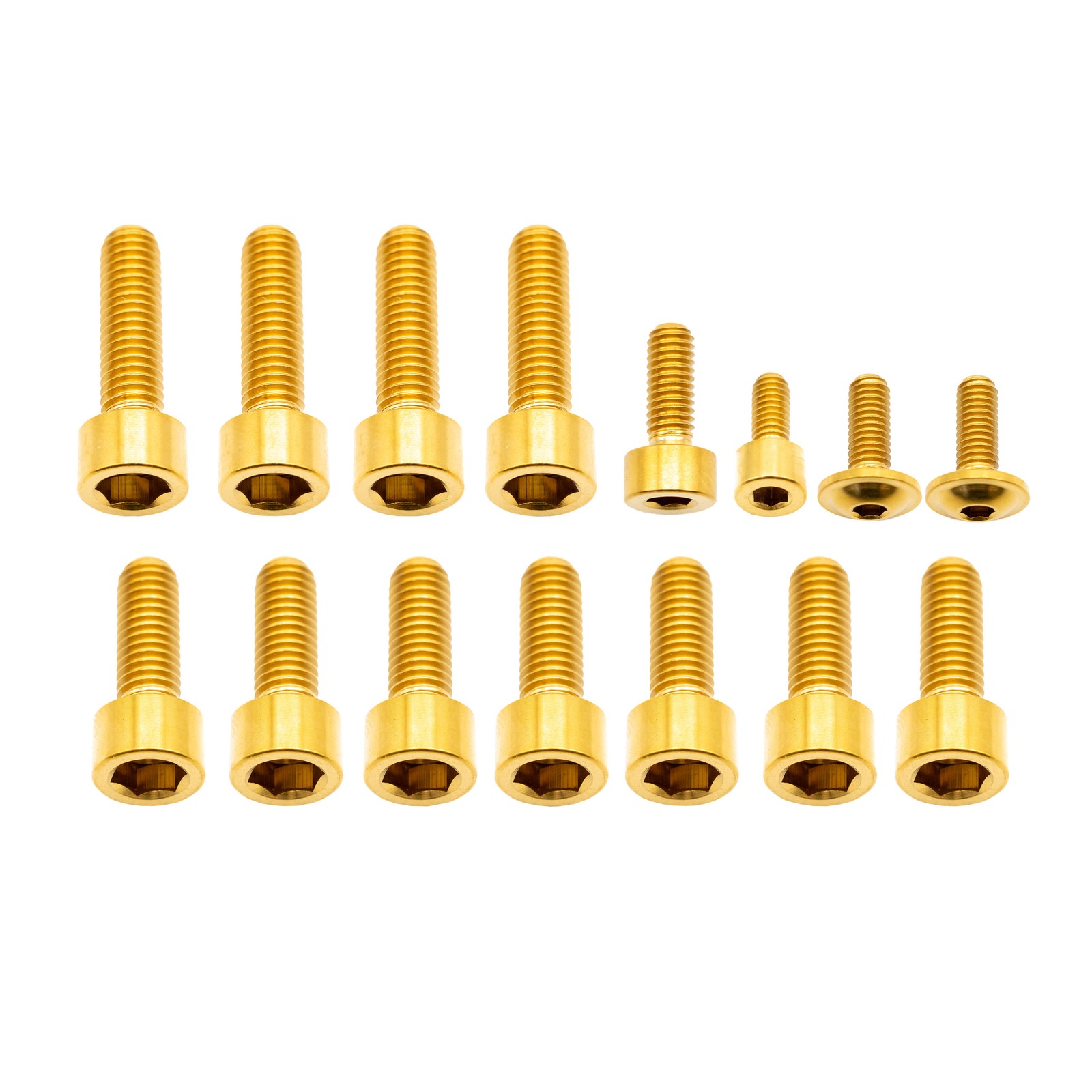 Titanium Fox 40 Fork Bolts Kit - Gold Aerospace Grade 5 Compatibility with 14890₽
