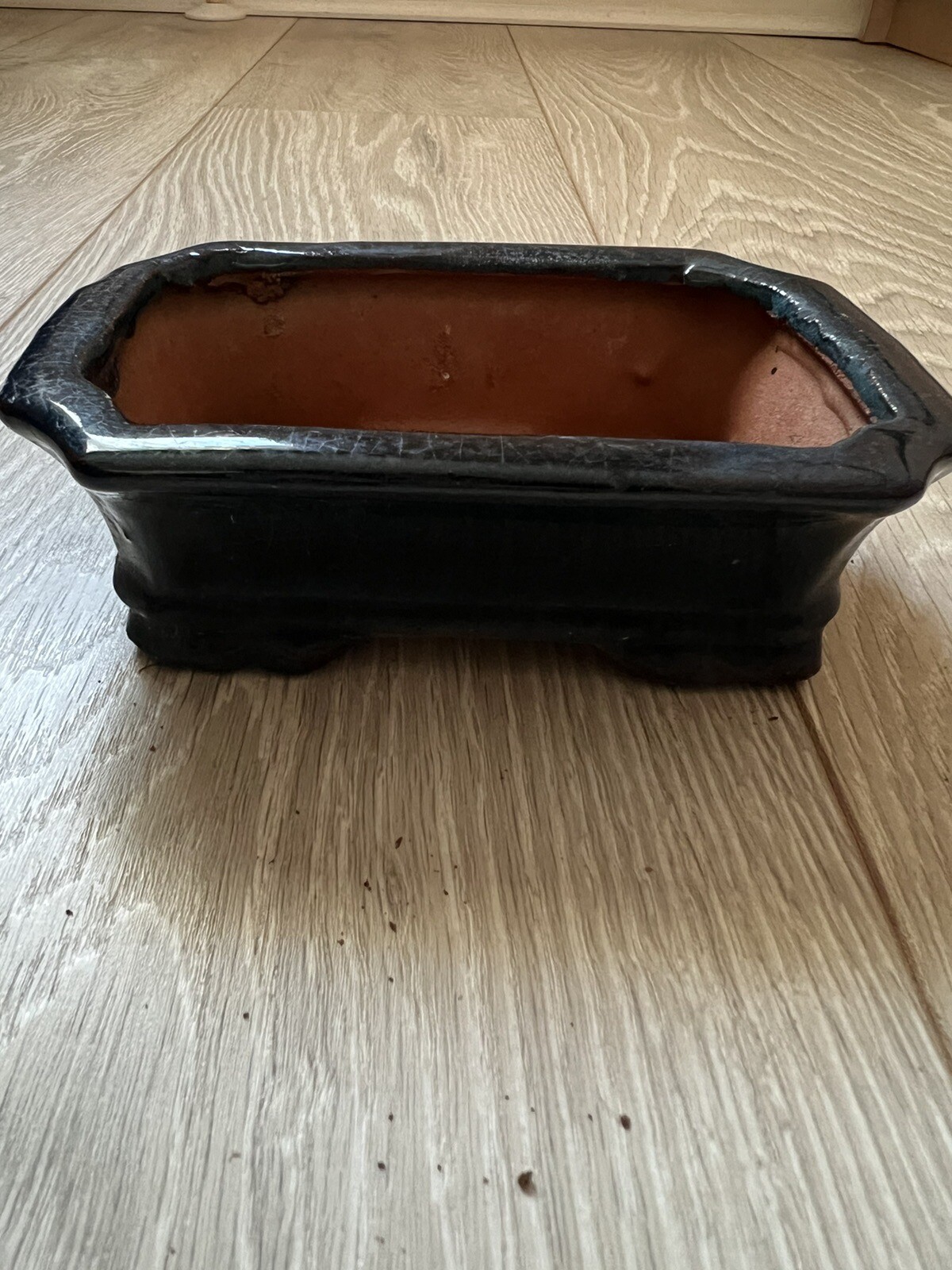 Bonsai Pot eBay