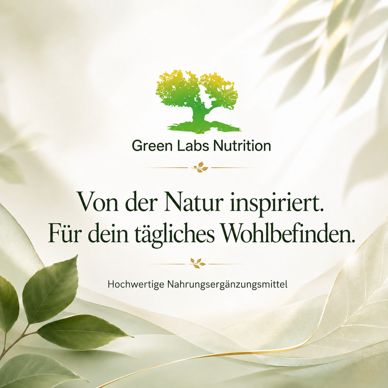Magnesiumglycinat 375mg Tabletten – Hochdosiert für Schlaf, Muskeln & Ruhe 4