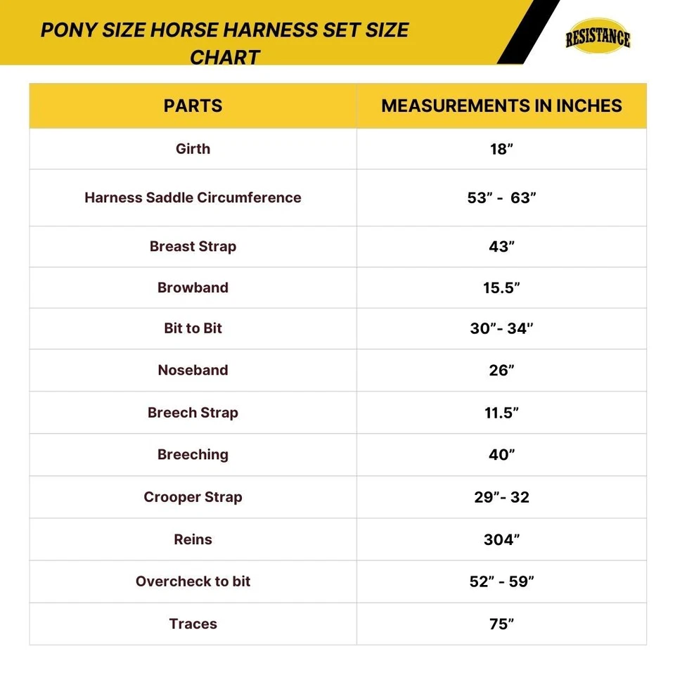 Arnés de conducción de cuero regular para caballo Pony - Juego completo - Cuero - Negro y tostado Foto 2 de 3