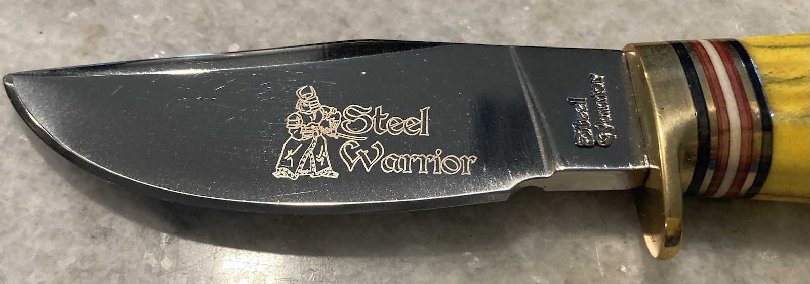 Steel Warrior Knife Buck Skinner Mint In The Box MIB SW-113 BNJ Bowie Knife Nice