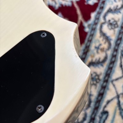 Rare GrassRoots G-FR-62GT Electric Guitar Forest Wood Grain | eBay