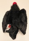 Bild 2 von 2
