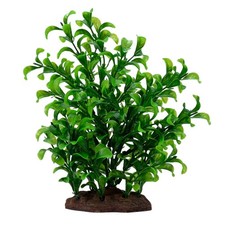 Fluval Aqualife Large Bacopa Plant 8 inch