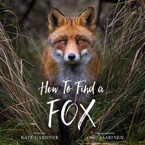 How to Find a Fox by Kate Gardner NEW Free UK Delivery - Image 5