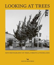 Looking At Trees: New Photography of Trees Forests amp Woodlands | Hardcover