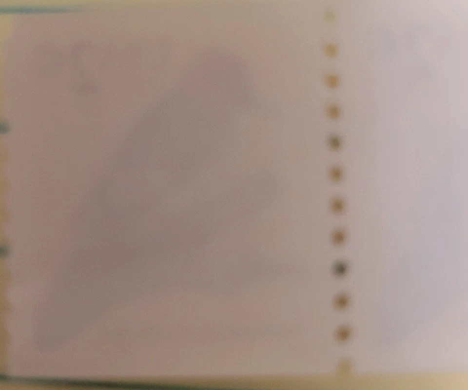 NEVER  USED! STAMP  REDHEAD WOODPECKER 2 CENT US 1996 #1560. AMAZING CONDITION! - Image 2 of 2