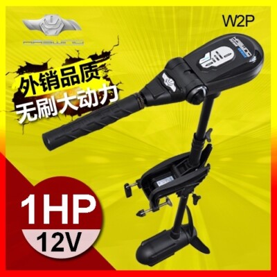 Haswing Protruar Transom mount electric trolling motor 1HP Brushless motor NEW