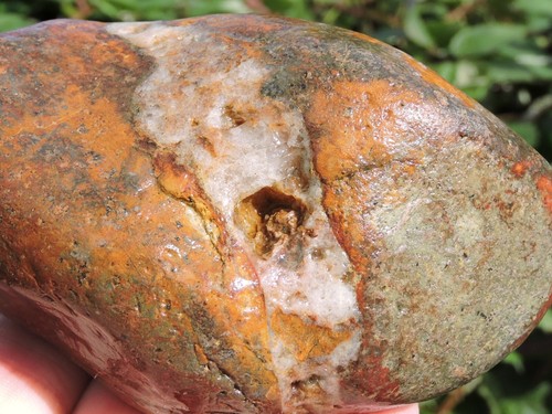 COPPIA di BELLISSIMI e INSOLITI noduli in pietra di riolite a fascia Oregon (29,3 once totali) - Foto 12 di 24