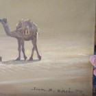 Bild 4 von 17