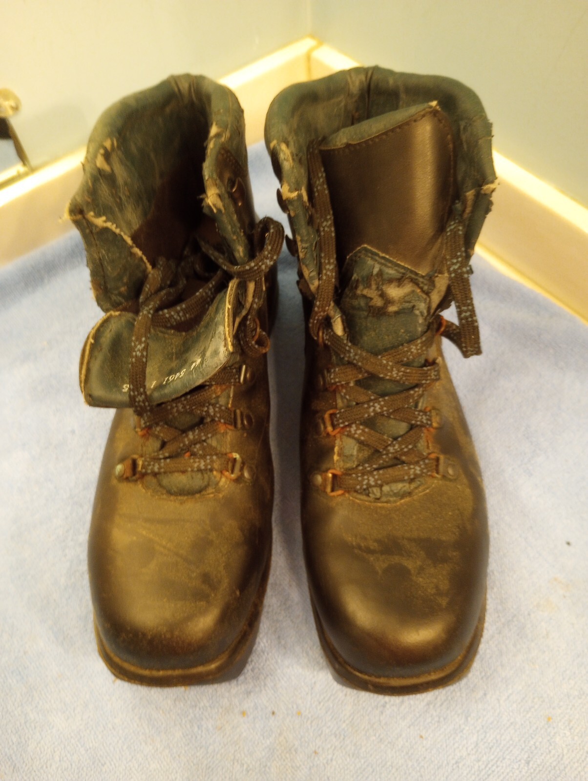 Cross Country Ski Boots NNN BC ALpina X BC Size 44 eBay