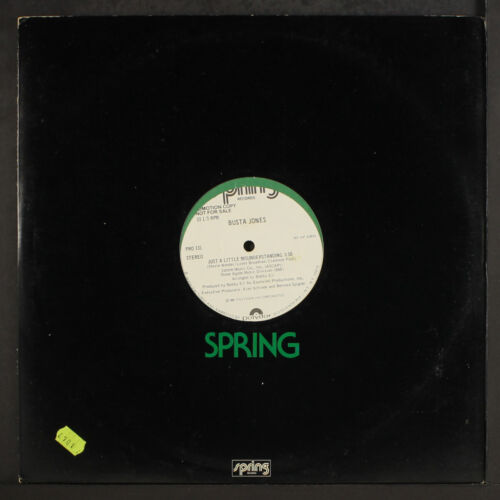 BUSTA JONES: just a little misunderstanding/same SPRING 12" Single 33 RPM - Picture 1 of 2
