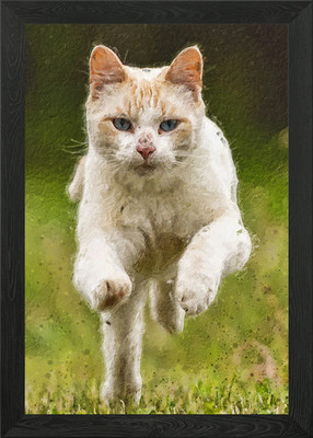 Gerahmtes Wandbild Poster Springende Katze Leinwandbild Bild