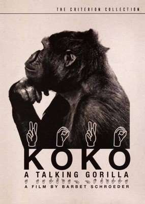 KOKO: A TALKING GORILLA (1978) Criterion Collection DVD BRAND NEW
