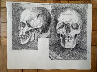 1990s Detailed Anatomy Study Skull Bones Drawing Pencil 17 x 13 OOAK