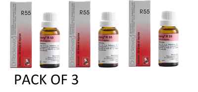 3xDr. Reckeweg R55 Drops 22ml | Relief from Soreness, Strain, Discomfort |