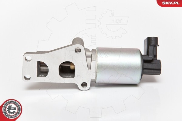 SKV Germany 14SKV065 Agr-Ventil FüR Opel-image