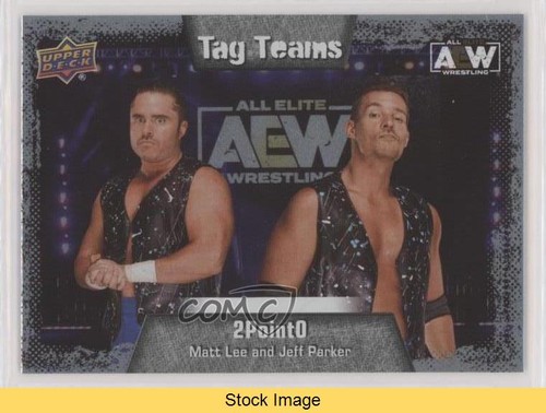 2022 AEW All Elite Wrestling Silver Foil Jeff Parker Matt Lee Patch Tag ...