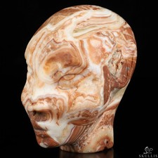 3.5" Lace Jasper Hand Carved Fairy Elf Alien Crystal Skull Companion Sculpture