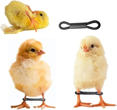 BRAND: SHITAILU 100 Pieces Baby Chicken Splay Leg Hobble Brace Adjustable Poultry Bands...