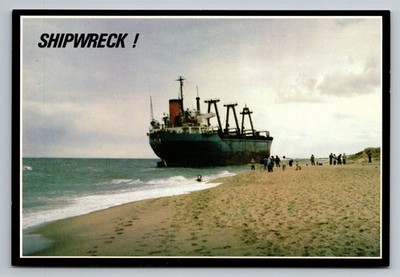 Cape Cod Shipwreck Eldia on Nauset Beach Photochrome Postcard
