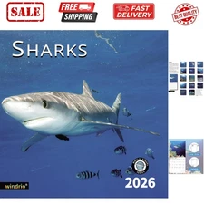 2026 Wall Calendar - Stunning Shark Design, 12" x 24" for Planning & Organizing