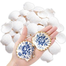 60 PCS Natural Scallop Shells Crafts 23 Inch White Genuine Beach DIY Paint