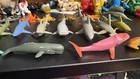 22- Sharks,Whales,Dolphins,Squid,and more!!!! — photo 3
