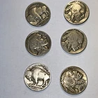 B Duffy’s 6 different buffalo nickels, fast, free ship & fun- all full dates!